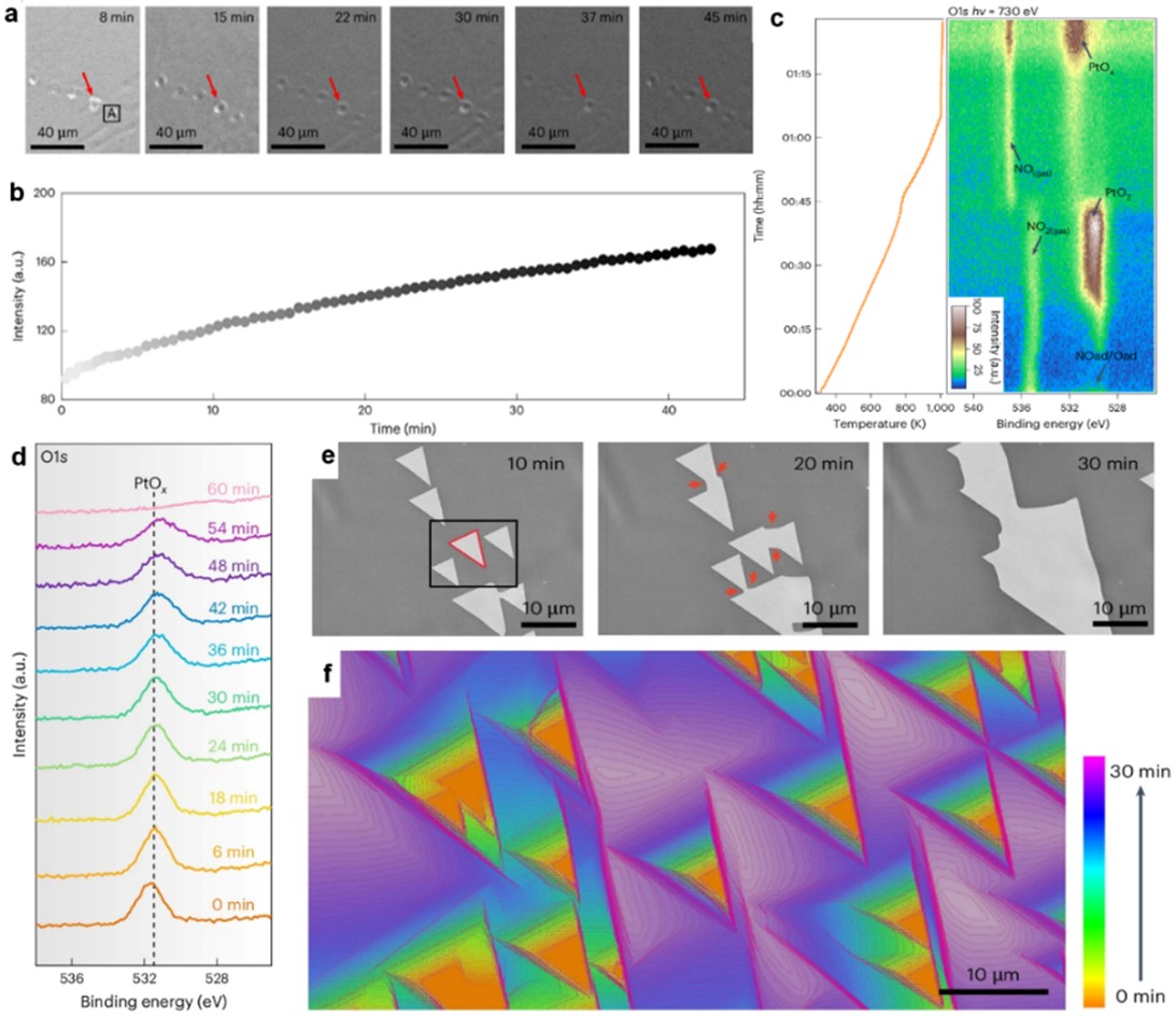 【技术分享】原位扫描电镜技术在催化与新能源电池研究中的应用<br/>